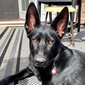 Meet your Posher, Amie